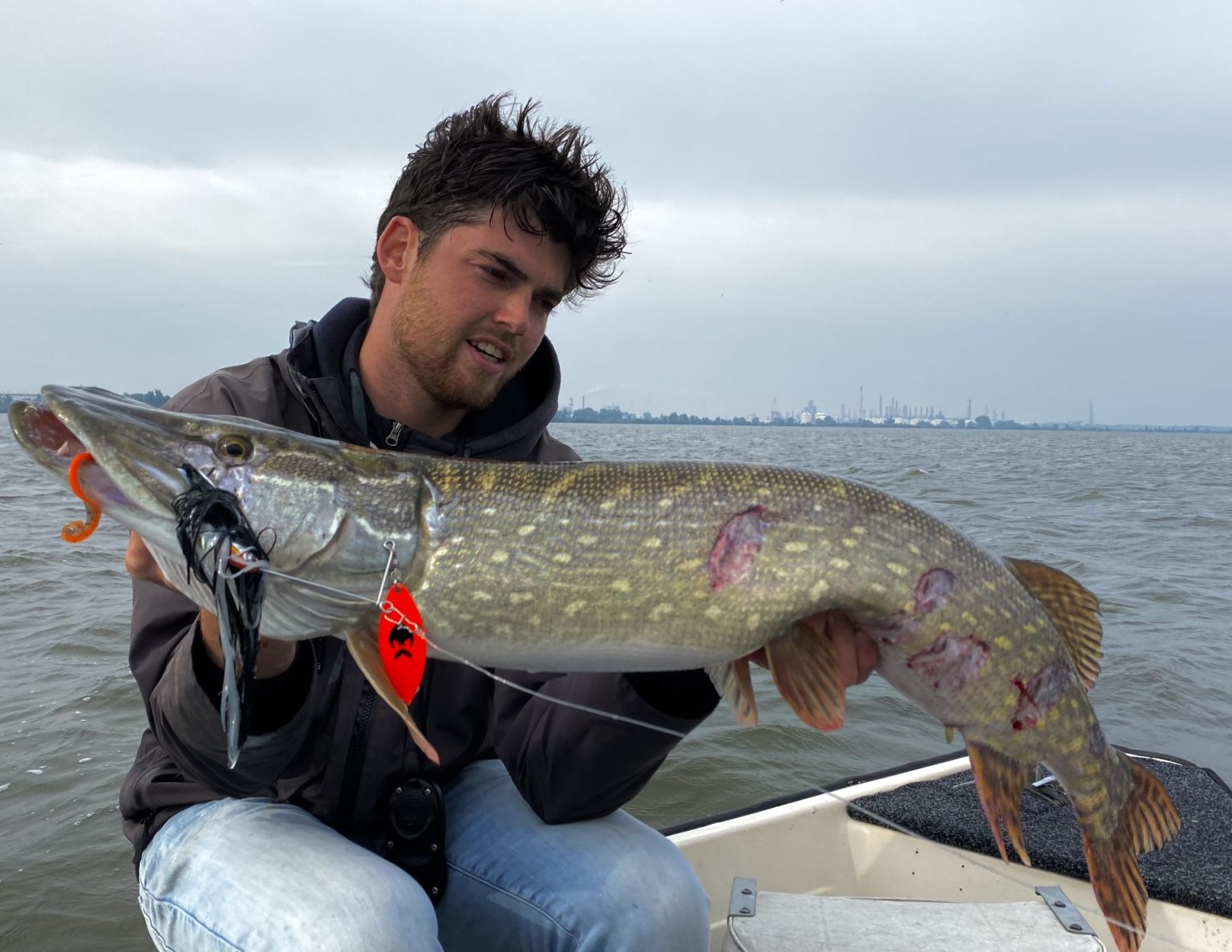 Vissen kunnen gevaar ruiken! - Roofmeister