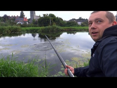 Grote metersnoek pest witvisser