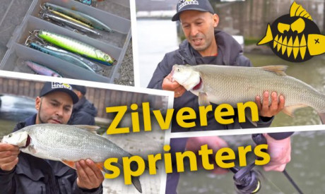 ***Roofmeister VIDEO*** Op roofblei met Mehmet & Mourat – Zilveren sprinters in Rotterdam