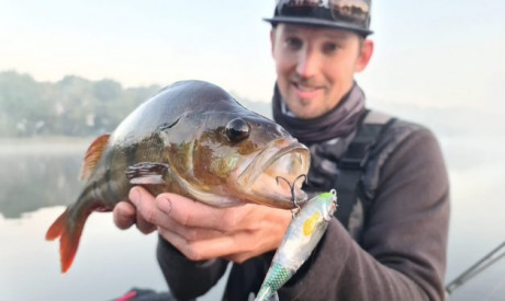 Met topwaters op baars – River2Sea Whopper Plopper