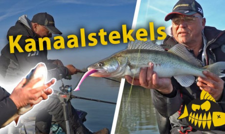 ***Roofmeister VIDEO*** Jouke Jansma vangt ziek grote baars – Zo vis je verticaal op kanaal stekels