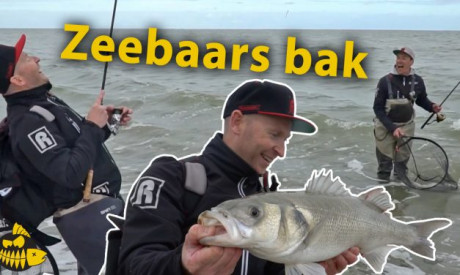 ***Roofmeister VIDEO*** Zeebaars bak van 70 cm – Roofvissen op het strand met Paans & van der Sanden